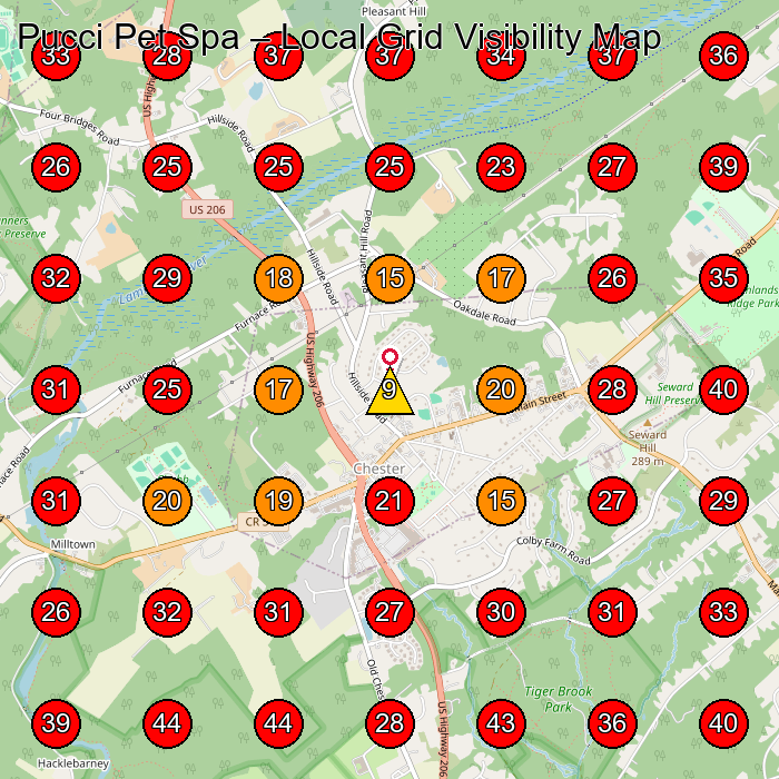 Pucci Pet Spa GeoGrid visibility map for Cabinet Maker in Long Valley